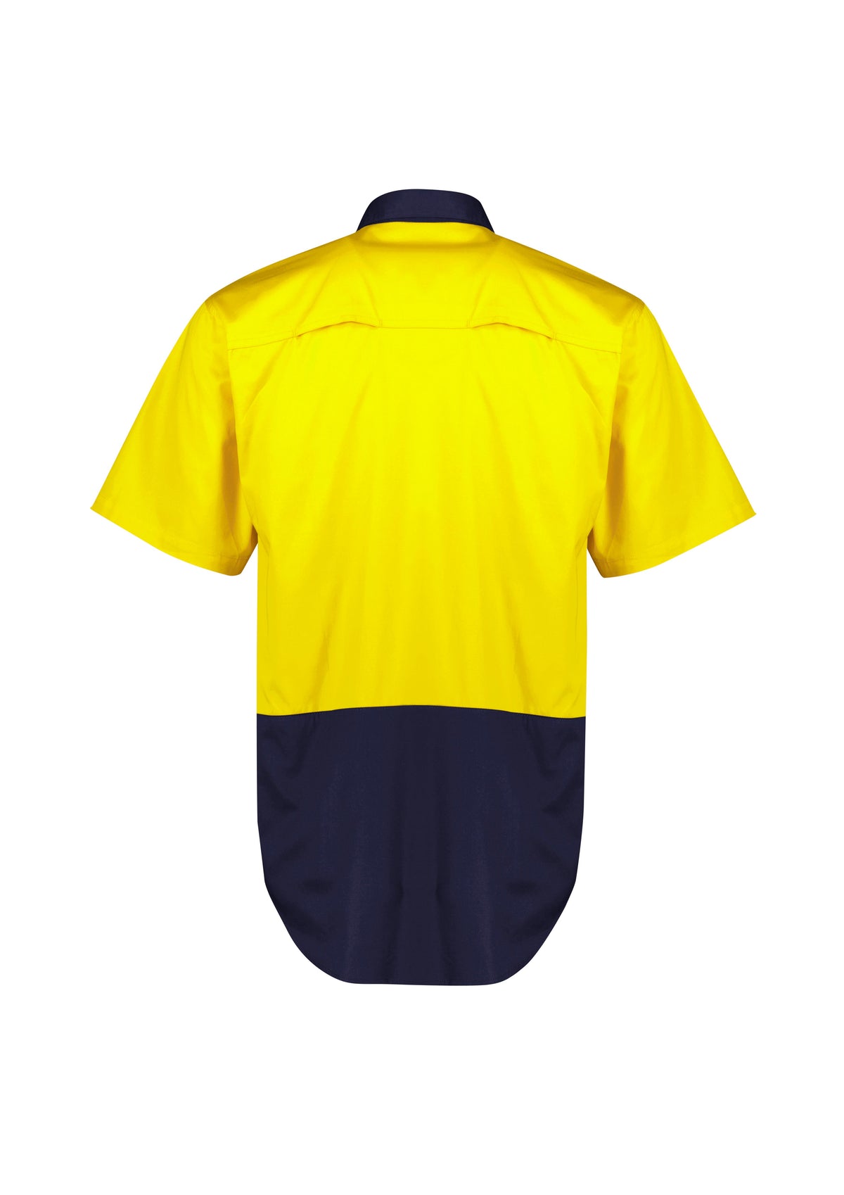 Yellow/Navy