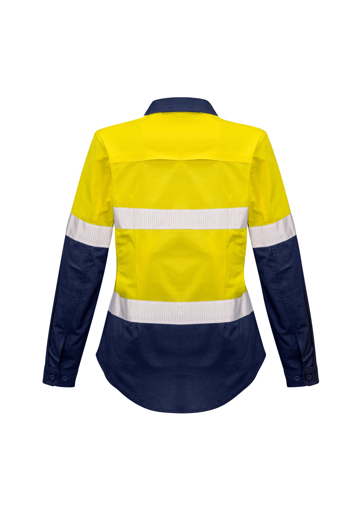 Yellow/Navy