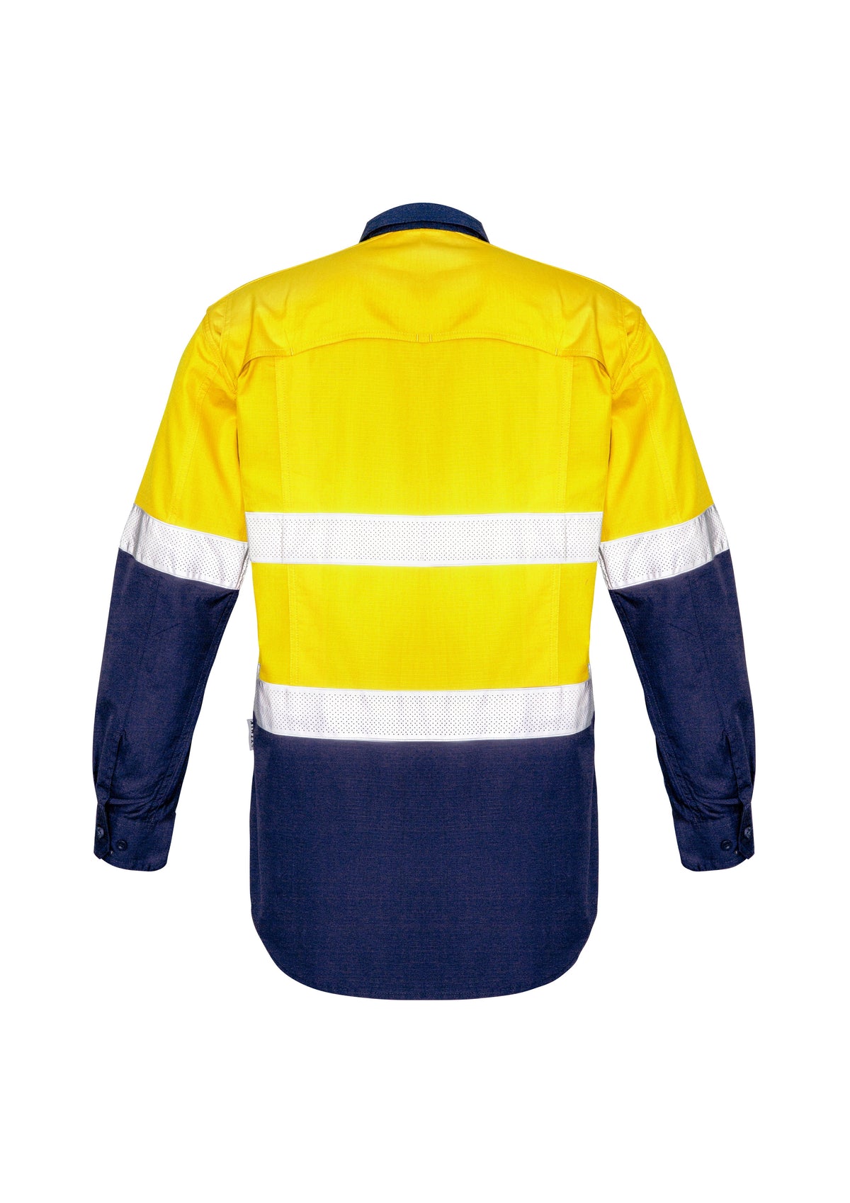 Yellow/Navy
