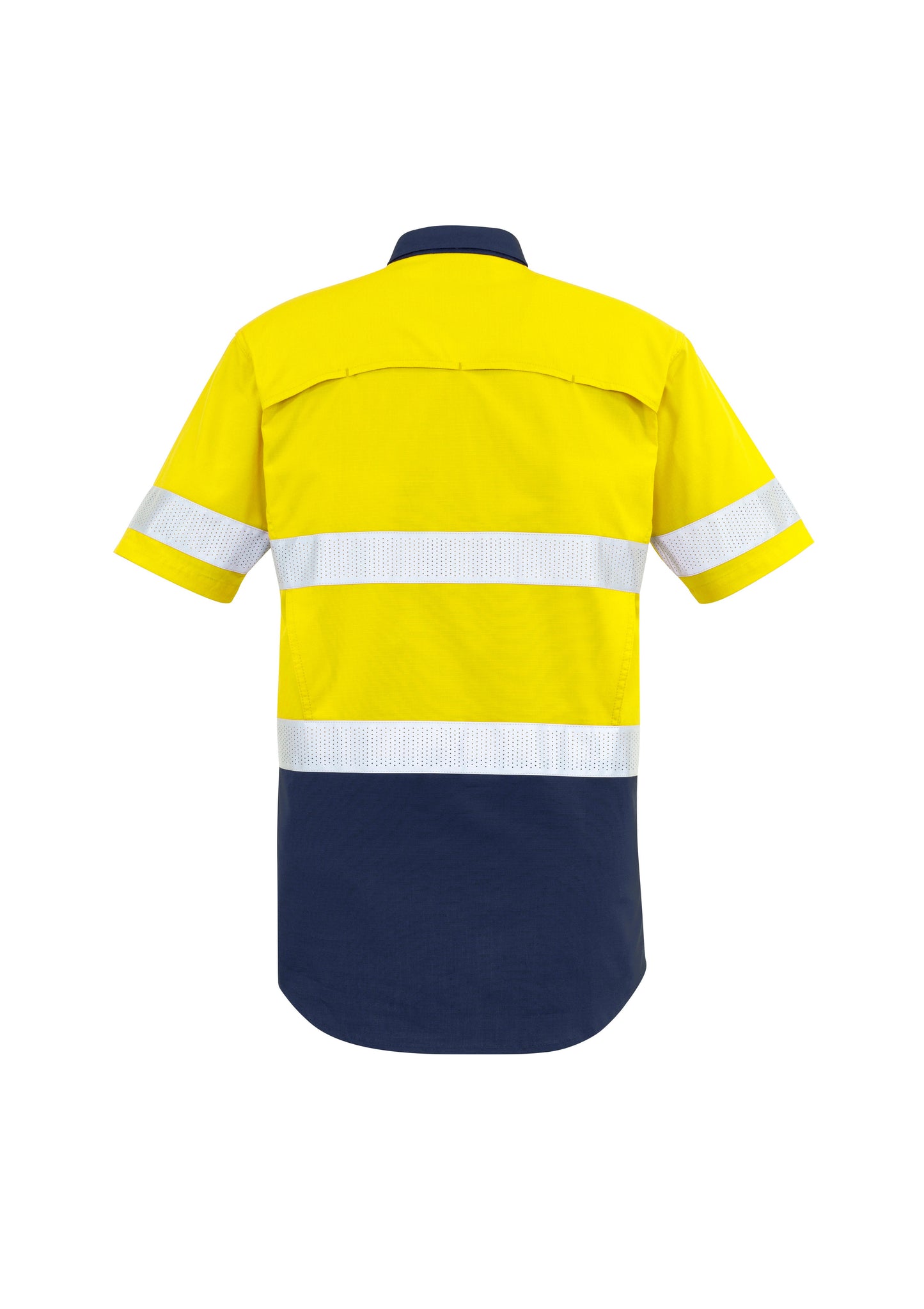 Yellow/Navy