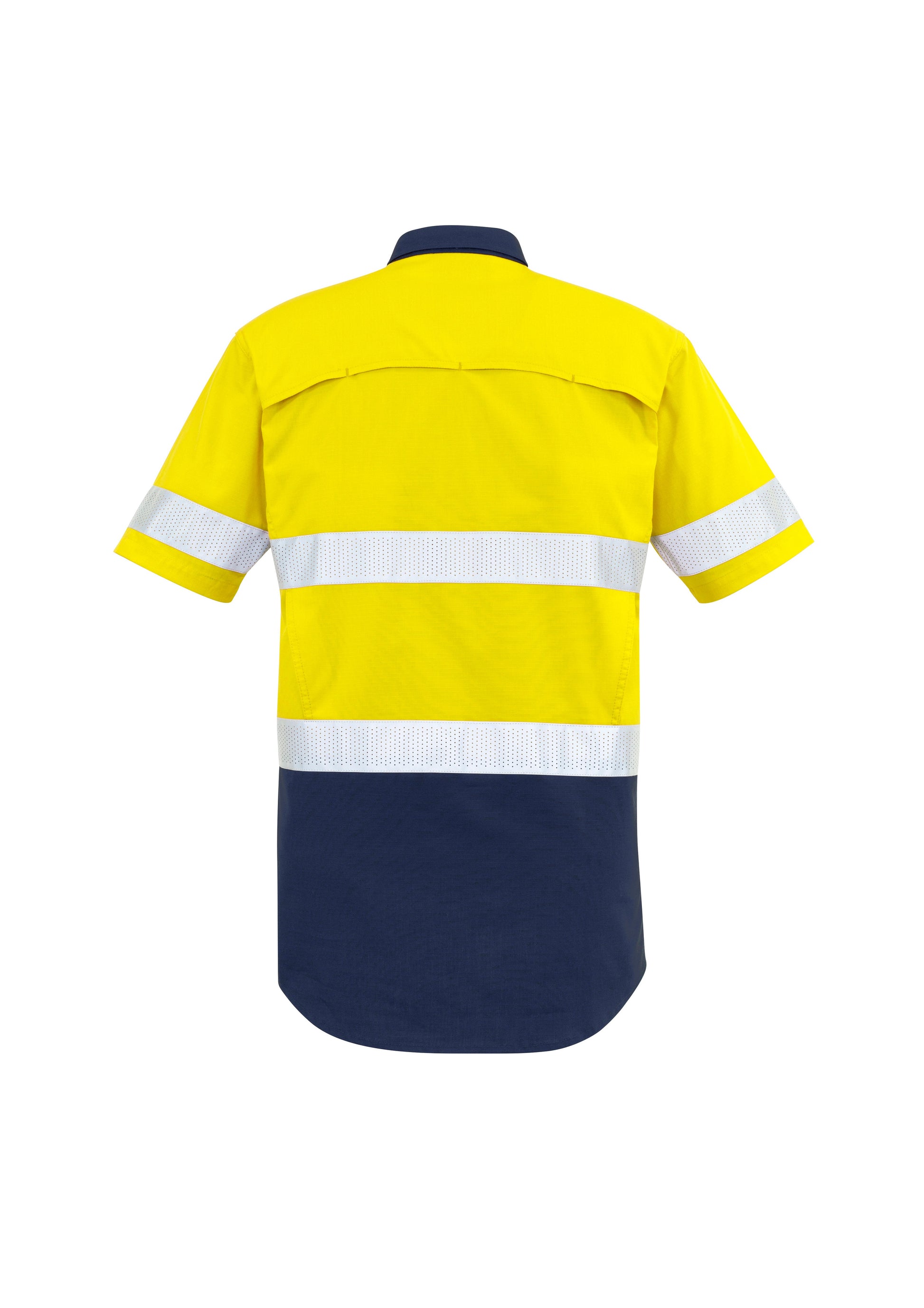 Yellow/Navy